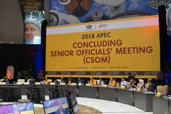 Vietnam participa en reunión de altos funcionarios de APEC en Papúa Nueva Guinea