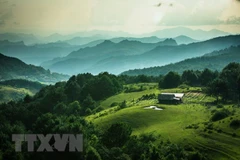 Vietnam avanza en gestión sostenible de bosques