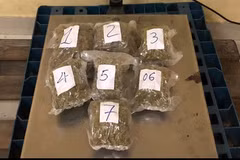 Incautan 57 kilogramos de metanfetamina traslada a través del aeropuerto Tan Son Nhat