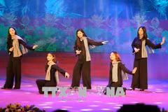 Programa musical en Vietnam rinde homenaje a mártires e inválidos de guerra