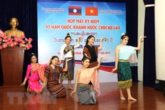 Conmemoran en Vietnam aniversario 43 del Día Nacional de Laos
