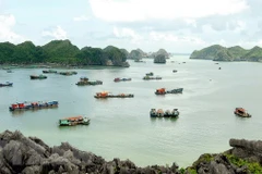 Ciudad portuaria vietnamita Hai Phong dio la bienvenida a millones de viajeros hasta julio