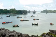 Ciudad portuaria vietnamita Hai Phong dio la bienvenida a millones de viajeros hasta julio
