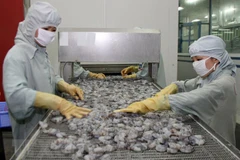 Demandan a EE.UU. revisar resultados de derechos antidumping impuestos a camarones vietnamitas