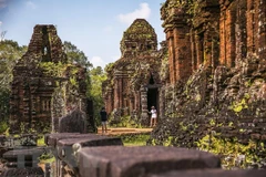 Vietnam e India trabajan en la traducción de letras antiguas en Santuario de My Son