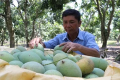 Vietnam convida a empresas suizas a invertir en agricultura