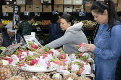 Vietnam promueve exportación agrícola en ocasión de Tet