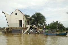 Exhortan al gobierno de Vietnam a adoptar medidas en respuesta al cambio climático