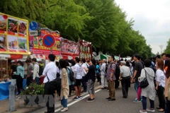 Festival vietnamita atrae atención de público japonés 
