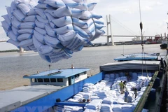 Vietnam por exportar 6,5 millones de toneladas de arroz en 2018
