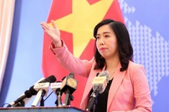 Vietnam sigue trabajando para garantizar derechos humanos, afirma portavoz de Cancillería