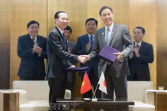 Ciudad Ho Chi Minh y Nagano (Japón) por fomentar cooperación multisectorial