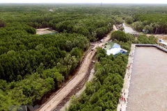 Sitio turístico de Cabo Ca Mau se convertirá en área económica clave en 2025