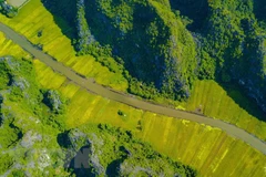Provincia norvietnamita de Ninh Binh busca promover turismo local
