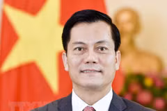 Nexos Vietnam-Estados Unidos mantienen fuerte desarrollo, afirma embajador vietnamita