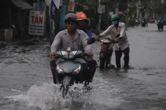 Países Bajos aspira a cooperar con Vietnam en reducción de impactos del cambio climático