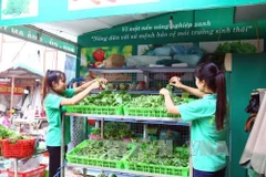 Vietnam comparte experiencias sobre agricultura verde en foro de ECOSOC