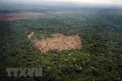 China y Camboya fortalecen cooperación en protección del medio ambiente