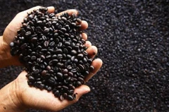 Nestlé inicia producción de tabletas de café comprimidas en Vietnam