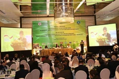 FAO coopera con Asia-Pacífico para mitigar impacto en la agricultura del cambio climático 