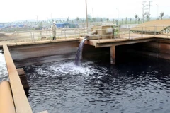 Japón asiste al Delta del río Mekong de Vietnam en la adaptación al cambio climático