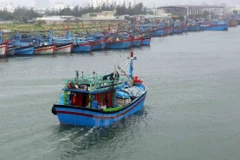 Entidades vietnamitas se encargan de toda la transportación doméstica por vía marítima