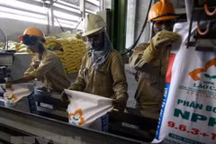 Vietnam busca mejorar la seguridad e higiene en el trabajo para los jóvenes