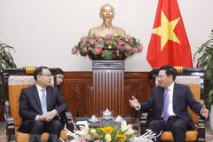 Vietnam concede importancia a la cooperación con localidades chinas, afirma vicepremier