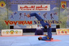 Concluye en Argelia competencia de arte marcial vietnamita Vovinam 