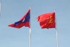 Vietnam y Laos agilizan cooperación en cumplimiento de leyes sobre silvicultura