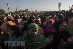 Myanmar y Bangladesh comenzarán repatriación de rohingyas en noviembre