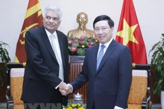 Vietnam aspira a fomentar las relaciones con Sri Lanka, afirma el vicepremier