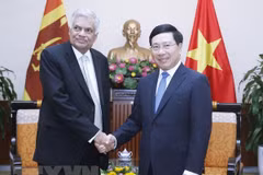 Vietnam aspira a fomentar las relaciones con Sri Lanka, afirma el vicepremier