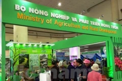 Feria Internacional de Agricultura tendrá lugar en ciudad vietnamita de Da Nang