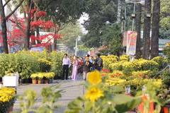 Celebran festival de flores en Ciudad Ho Chi Minh