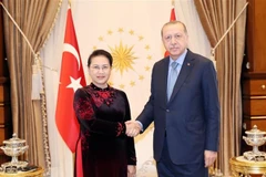 Presidente de Turquía afirma que su país aspira a firmar TLC con Vietnam , 