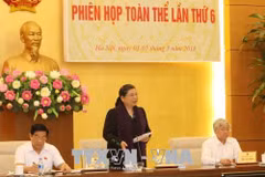 Tasa de pobreza sigue siendo alta entre las minorías étnicas en Vietnam