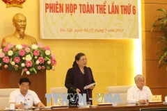 Tasa de pobreza sigue siendo alta entre las minorías étnicas en Vietnam