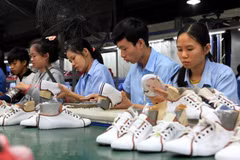 Exportaciones de calzado de Vietnam obtienen 19,5 mil millones de dólares este año