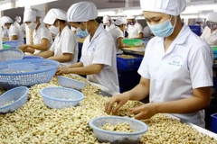 Vietnam ingresa monto multimillonario por ventas de productos agrícolas, acuícolas y silvícolas