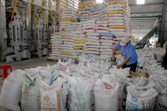 Puerta ancha para exportación de arroz vietnamita