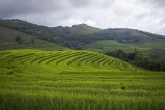 Belleza pacífica de terrazas arroceras en provincia vietnamita de Hoa Binh