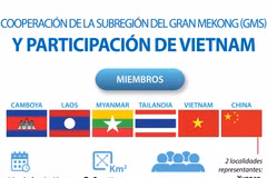  Participación de Vietnam en cooperación de la Subregión del Gran Mekong
