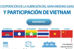  Participación de Vietnam en cooperación de la Subregión del Gran Mekong