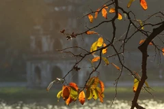 Hanoi entre destinos más ideales del mundo en otoño, según CNN