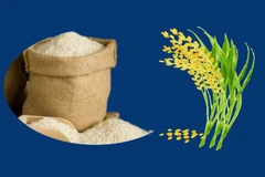 Exportaciones de arroz de Vietnam crecen 40,4%