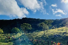 Ninh Thuan aprovecha sus potencialidades para desarrollo sostenible del turismo