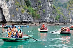 Vietnam disfruta de fuerte aumento en número de turistas indios