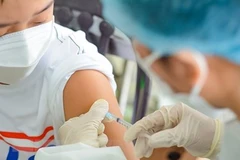 Jóvenes voluntarios en Hanoi apoyan tratamiento a pacientes de la COVID-19 en el hogar