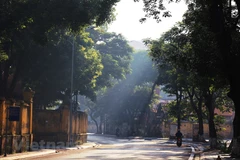 Entra Hanoi en la estación más hermosa del año